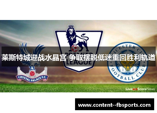 莱斯特城迎战水晶宫 争取摆脱低迷重回胜利轨道